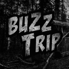 Buzztrip