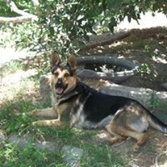 Maria Aguilar Franco