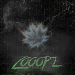 ZPz