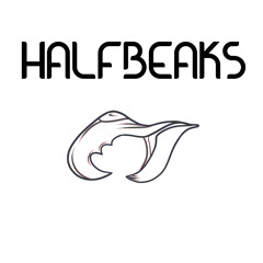 Halfbeaks