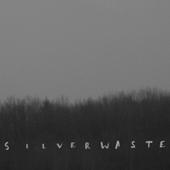 Silverwaste