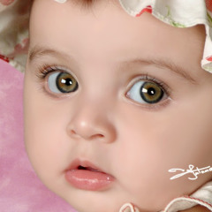 mohamed elshesheny
