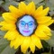 user1929091