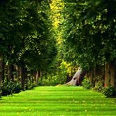 Akamie MzCertified Lucas