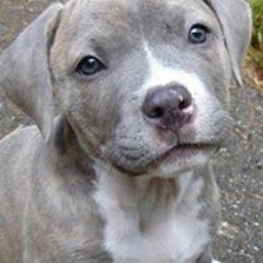 Jaquan So Turnt Crawford