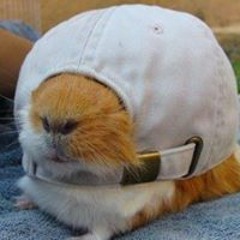 Christian Viéron-Lepoutre