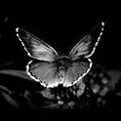 Alexandra Attachée Comm