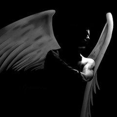 david hasert