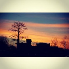 t-o-p-vanommeren