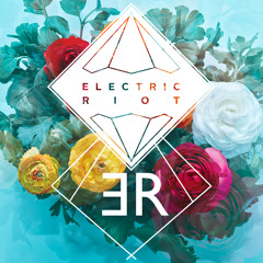 Electric Riot