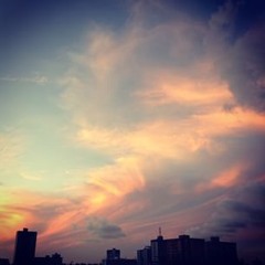 molenaarrosamolenaar