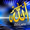 Esam Yaser