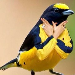 Bell Tone Ghost Writer