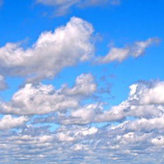The Happy Rice Farmer