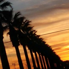 Palms On Fire