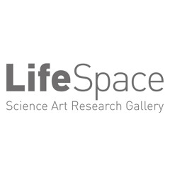 LifeSpace Dundee