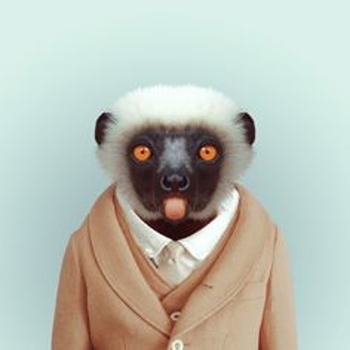 Hendrick Lemur’s avatar
