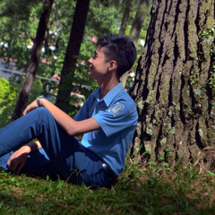 Dede Alfarisyi