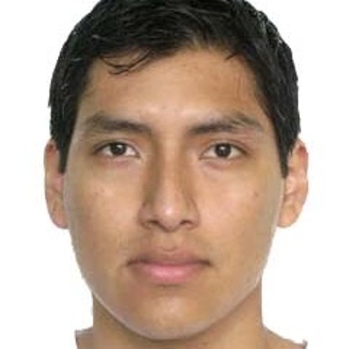 Luis Quispe Marcos’s avatar
