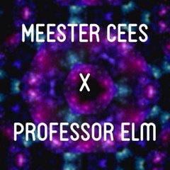 PROF. ELM & MEESTER CEES