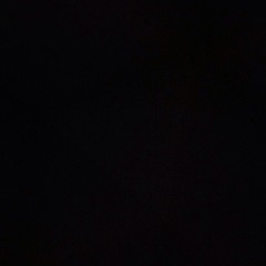 Shamim Miah 2