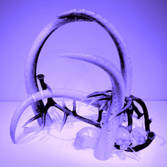 Deadly Nightshade Techno