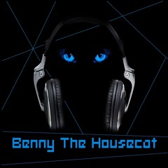 Benny The Housecat