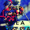 JustinBrown#15