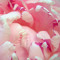 Crystena