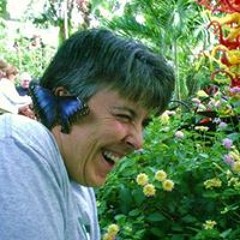 Amy M Hoffman