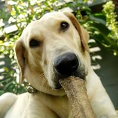 SuperPakio OneFive F