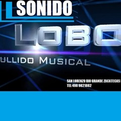 SONIDO DJ LOBO