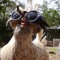 keily_lolz