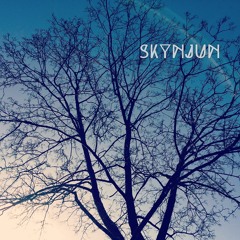 Skynjun