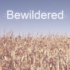 Bewildered