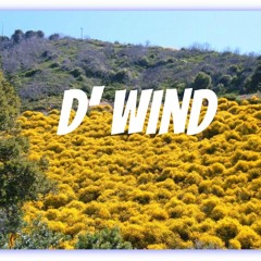 D' Wind