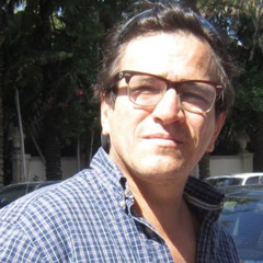 Claudio Irani Bikić