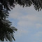 flying flying