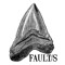FAULT/S