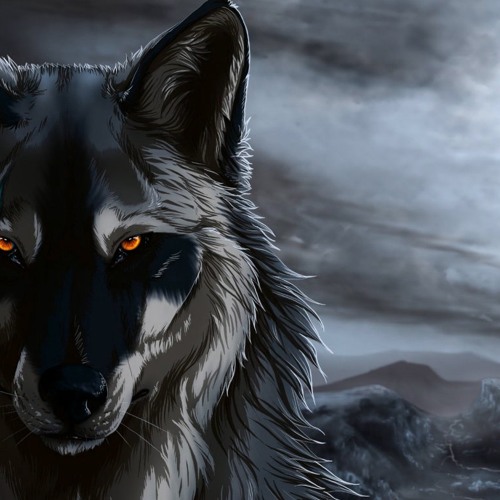 Wolf’s avatar