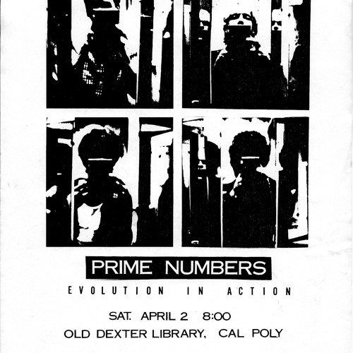 Prime Numbers’s avatar