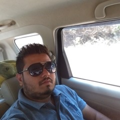 A Shaggy Peace . DJ HARDY