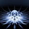 HDCYG_EDM