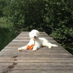 Sascha Renè Zernecke