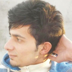 Adeel Bajwa