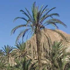 arijx