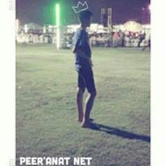 Peer'anat Net