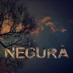 Negură