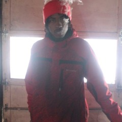 ChicagoTFV
