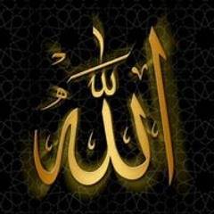 Alaa Waly